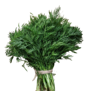 Dill-removebg-preview Dill