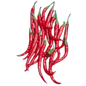 Long_Cayenne-removebg-preview Long Cayenne