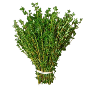 Thyme-removebg-preview Thyme